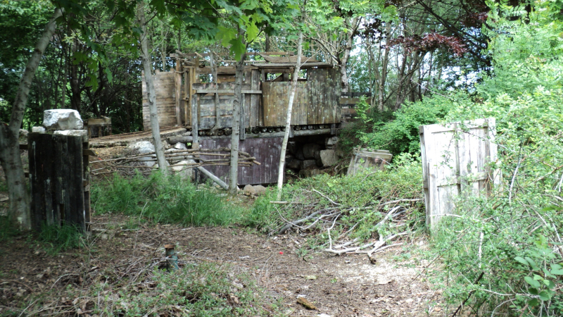 DSC00041